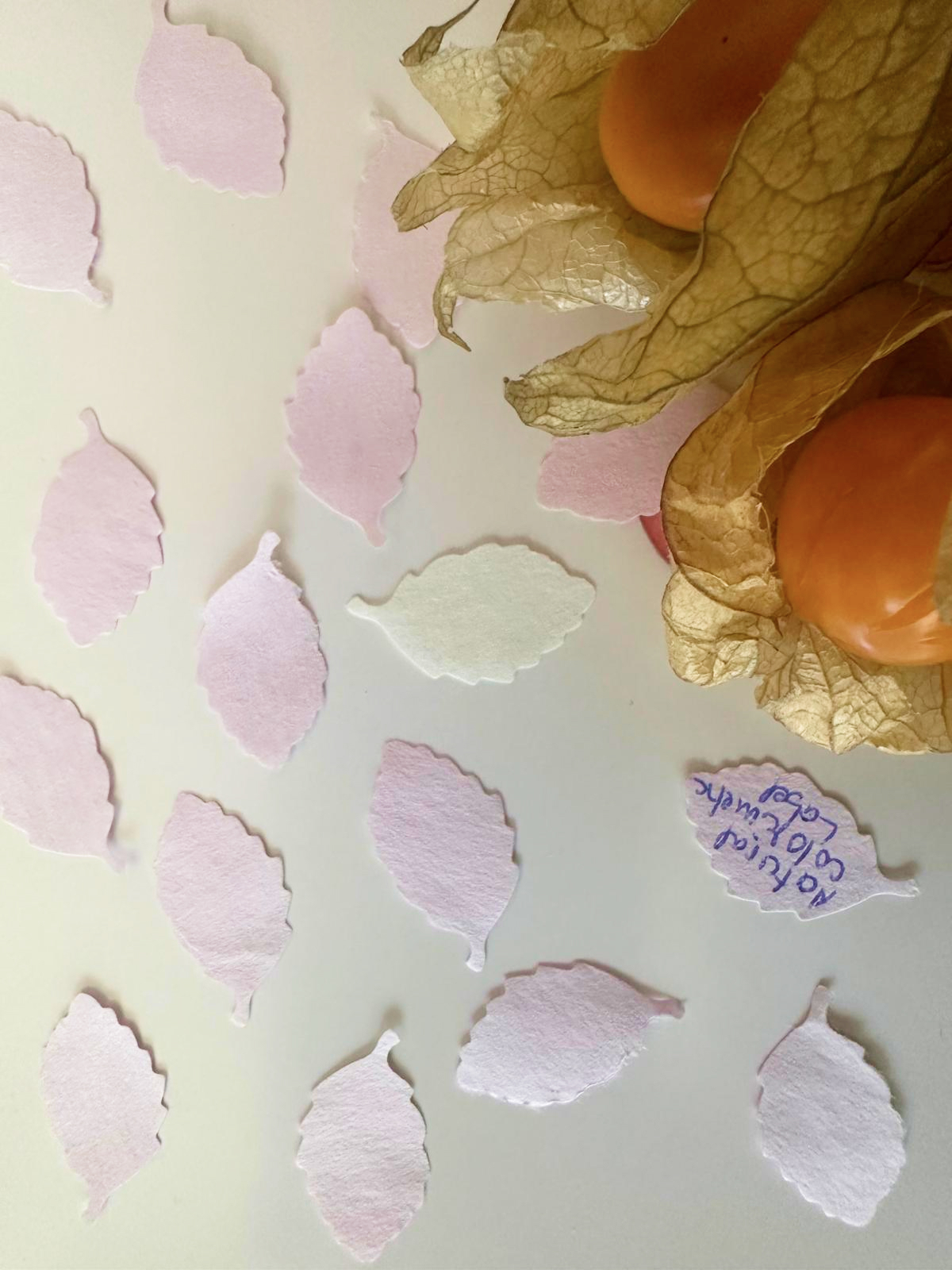 Leaf-shaped paper pieces and physalis fruits used as inspiration for the smart label design